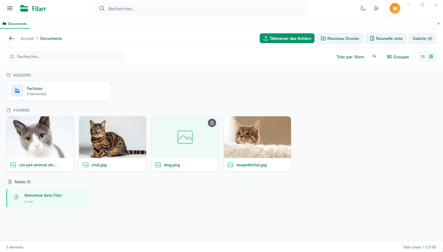51+ formats with built-in preview