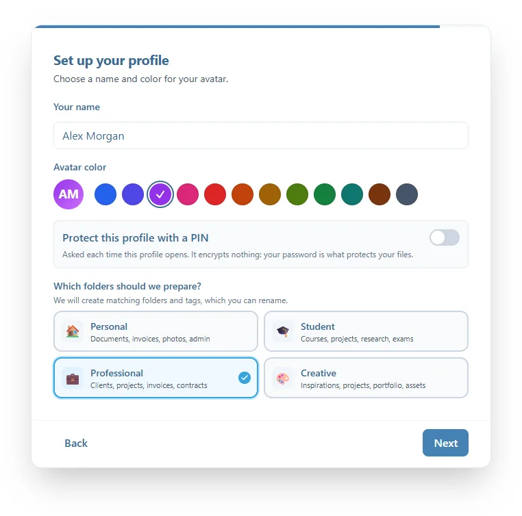 The Set up your profile screen: the name Alex Morgan, the purple avatar color, the PIN switch turned off, and the Professional folder set selected